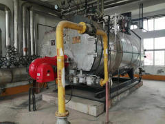 公司在用6噸燃?xì)忮仩t對(duì)外出售