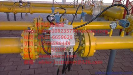 供應(yīng)elster埃爾斯特Q.Sonic氣體超聲波流量計圖片,供應(yīng)elster埃爾斯特Q.Sonic氣體超聲波流量計圖片大全,山東維希燃氣設(shè)備-